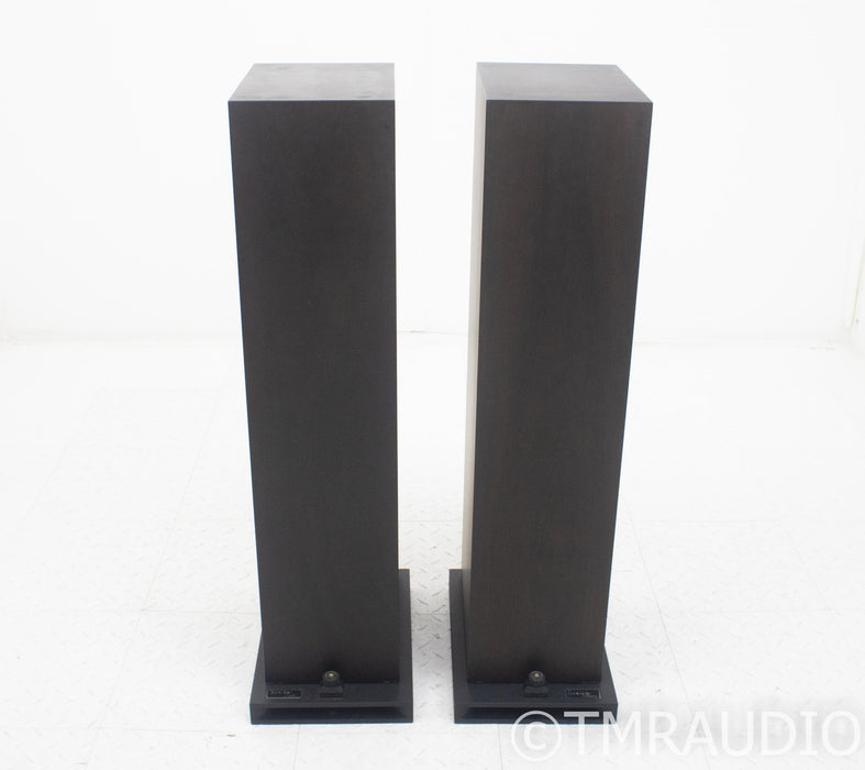 Trenner & Friedl Dizzy Floorstanding Speakers