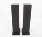 Trenner & Friedl Dizzy Floorstanding Speakers