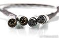 Shunyata Research ZiTron Anaconda XLR Cables; 1m Pair Balanced Interconnects