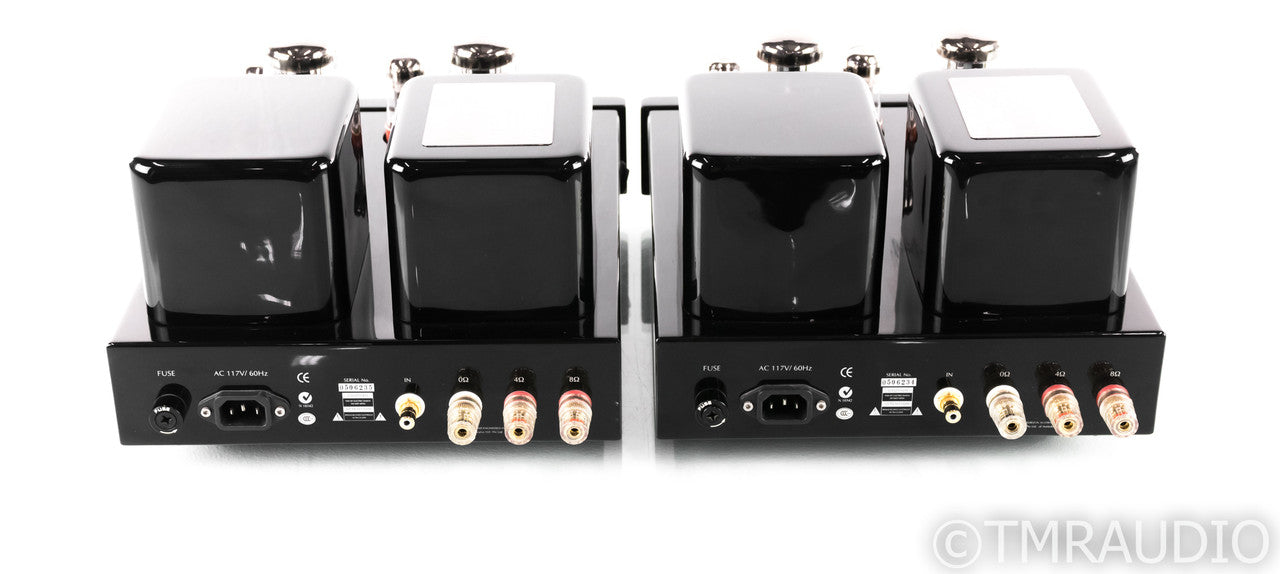 Genesis M60 Mono Tube Power Amplifier