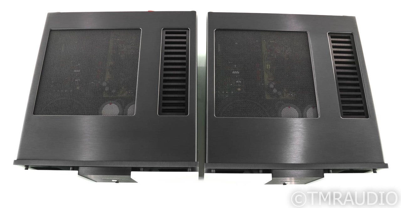 Mark Levinson No. 436 Mono Power Amplifier