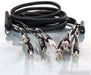 AudioQuest Rocket 88 Speaker Cables; 12ft Pair; 72v DBS