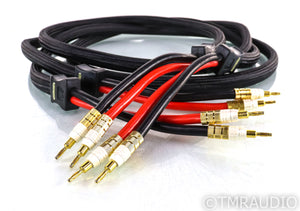 PS Audio xStream Statement Speaker Cables; 3m Pair