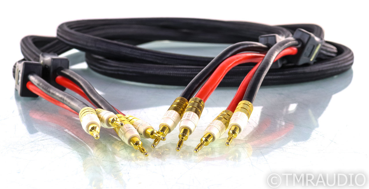 PS Audio xStream Statement Speaker Cables; 3m Pair