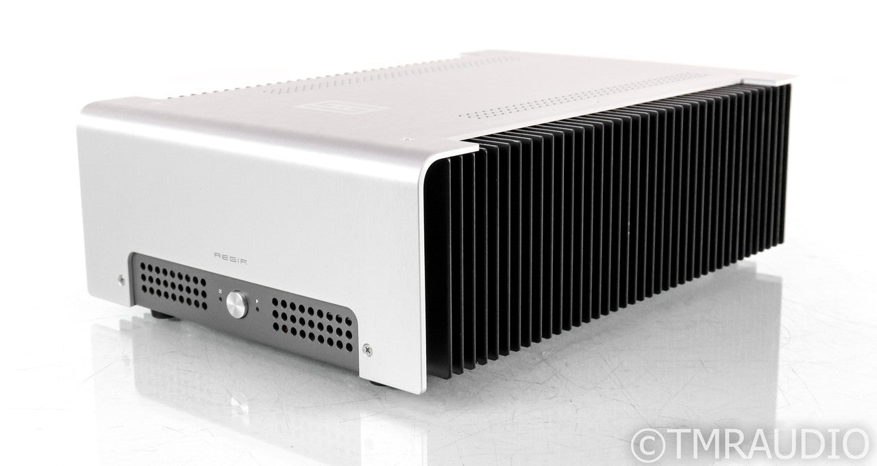 Schiit Aegir Stereo / Mono Power Amplifier; Single; Continuity