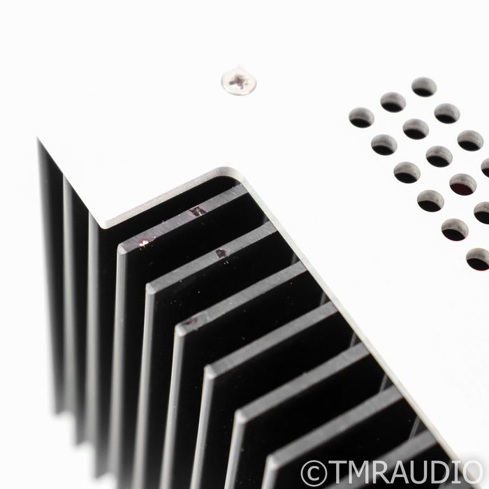 Schiit Aegir Stereo / Mono Power Amplifier; Single; Continuity