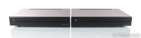 PS Audio Stellar M700 Mono Power Amplifier