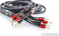 AudioQuest Meteor SBW Bi-Wire Speaker Cables; 12ft Pair; 72v DBS (Excellent)