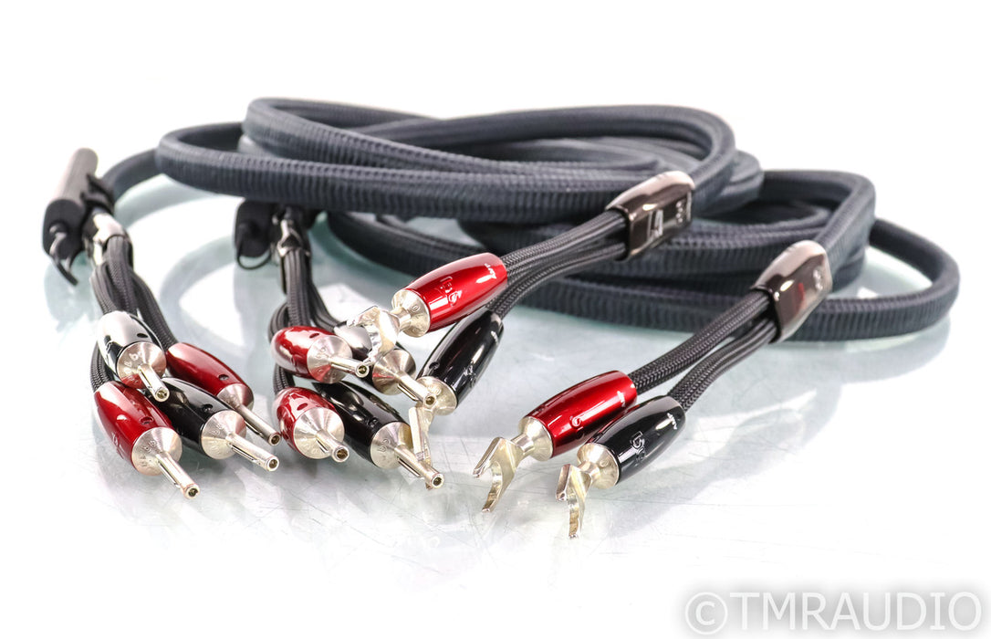 AudioQuest Meteor SBW Bi-Wire Speaker Cables; 12ft Pair; 72v DBS (Excellent)