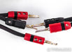 AudioQuest Gibraltar Bi-Wire Speaker Cable; 8ft Pair; 72v DBS