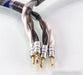 Core Power Defiant Gold Speaker Cables; 2.5m Pair