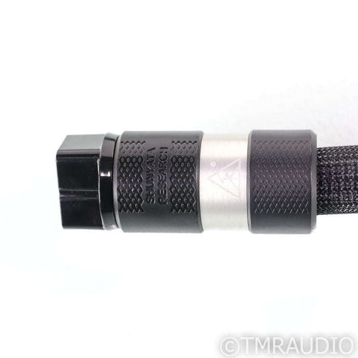 Shunyata Hydra Typhon QR AC Power Line Conditioner; Silver