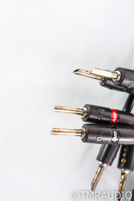 AudioQuest Rocket 44 Bi-Wire Speaker Cables; 3.5m Pair