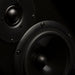 The Music Room Presents... The Ovation Monitor