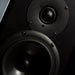 The Music Room Presents... The Ovation Monitor