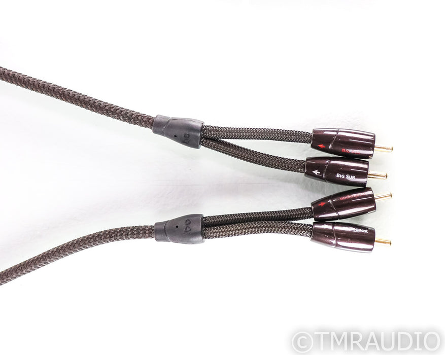 AudioQuest Big Sur Stereo RCA Cable; 1m Interconnect