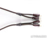 AudioQuest Big Sur Stereo RCA Cable; 1m Interconnect