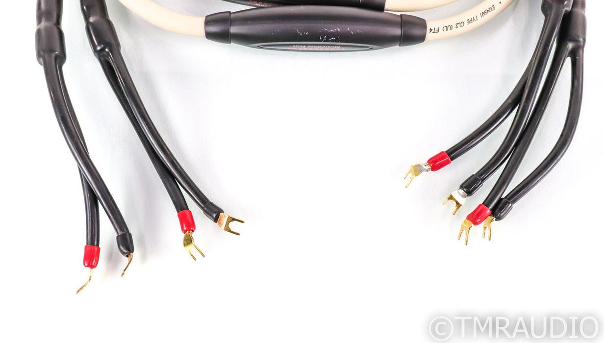 Transparent Audio MusicWave Plus Speaker Cables; 8ft Pair
