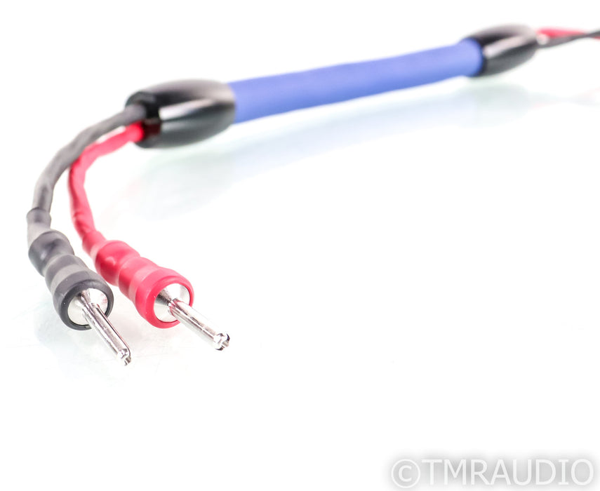 Cardas Audio Clear Cygnus Speaker Cable; 0.5m; Single