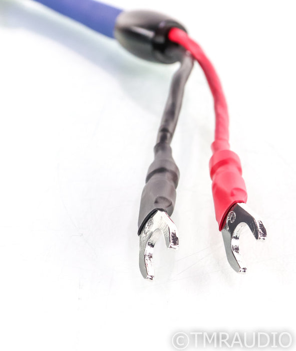 Cardas Audio Clear Cygnus Speaker Cable; 0.5m; Single