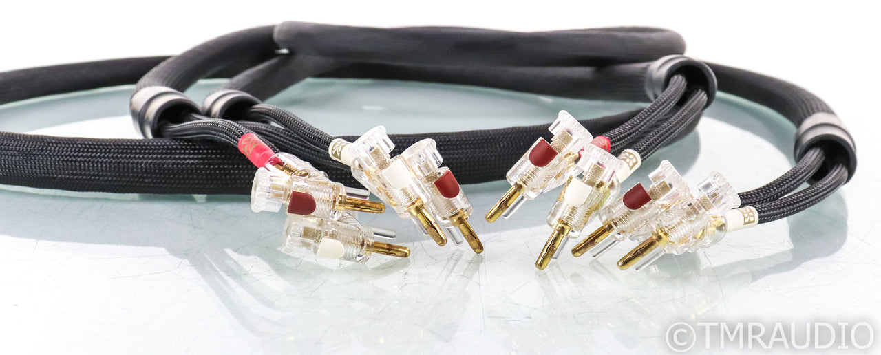 Kimber Kable Monocle X Speaker Cables; 2.5m Pair; WBT 0610