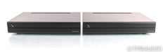 PS Audio Stellar M700 Mono Power Amplifier