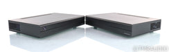 PS Audio Stellar M700 Mono Power Amplifier