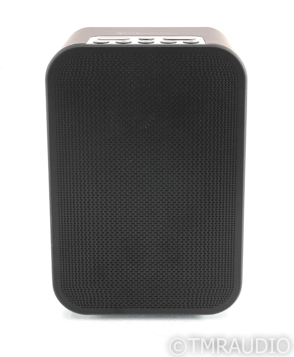 Bluesound Pulse Flex 2i Wireless Speaker; Bluetooth; WiFi (Open Box w/ Warranty)