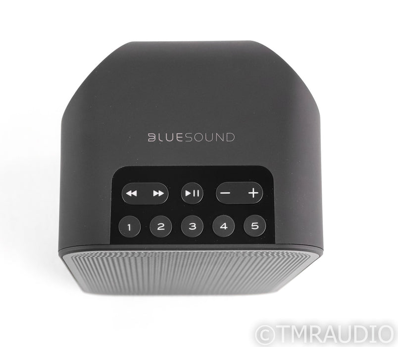 Bluesound Pulse Flex 2i Wireless Speaker; Bluetooth; WiFi (Open Box w/ Warranty)