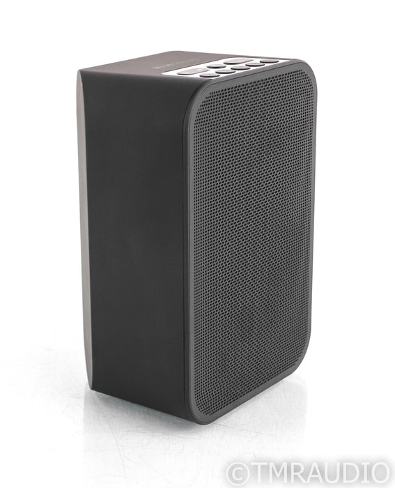Bluesound Pulse Flex 2i Wireless Speaker; Bluetooth; WiFi (Open Box w/ Warranty)