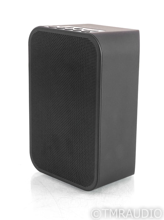 Bluesound Pulse Flex 2i Wireless Speaker; Bluetooth; WiFi (Open Box w/ Warranty)