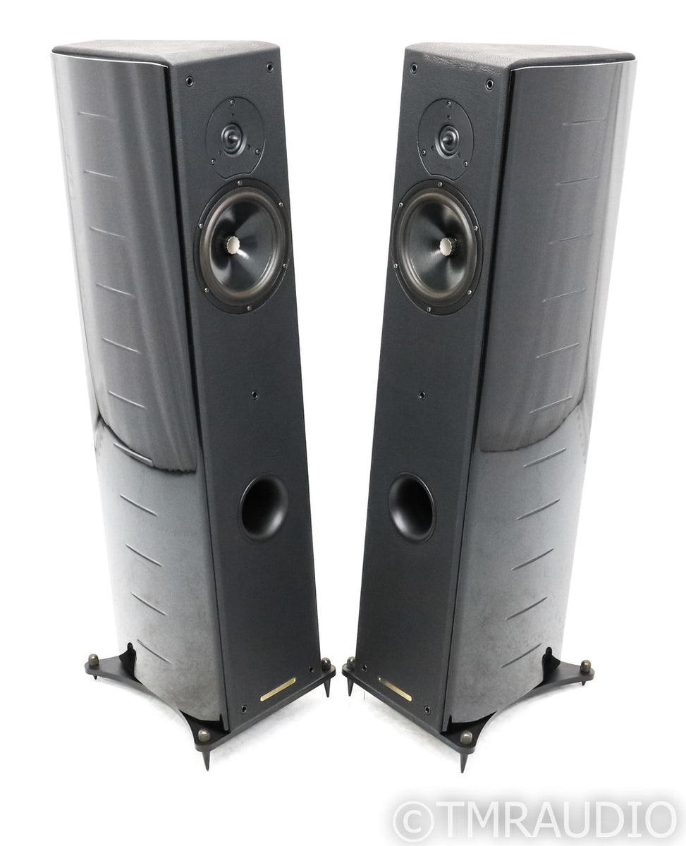 Sonus Faber Concerto Domus Floorstanding Speakers — The Music Room