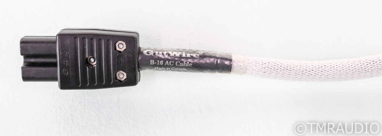 Gutwire B-16 Power Cable; B16; 5ft AC Cord
