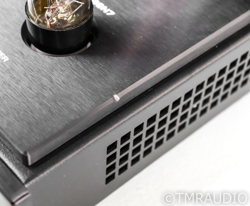 Canary Audio M80 Mono Tube Power Amplifier; M-80; Pair