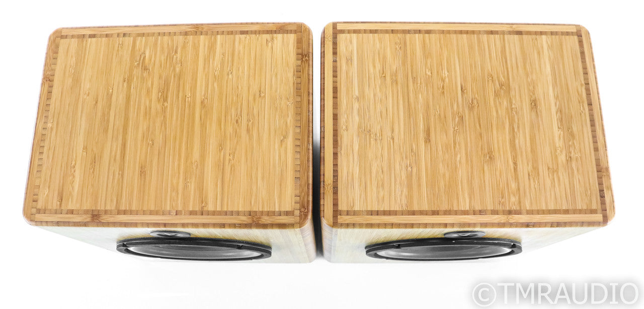 Blumenstein Triton Bookshelf Speakers