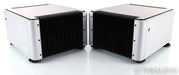 PS Audio BHK300 Mono Tube Hybrid Power Amplifier