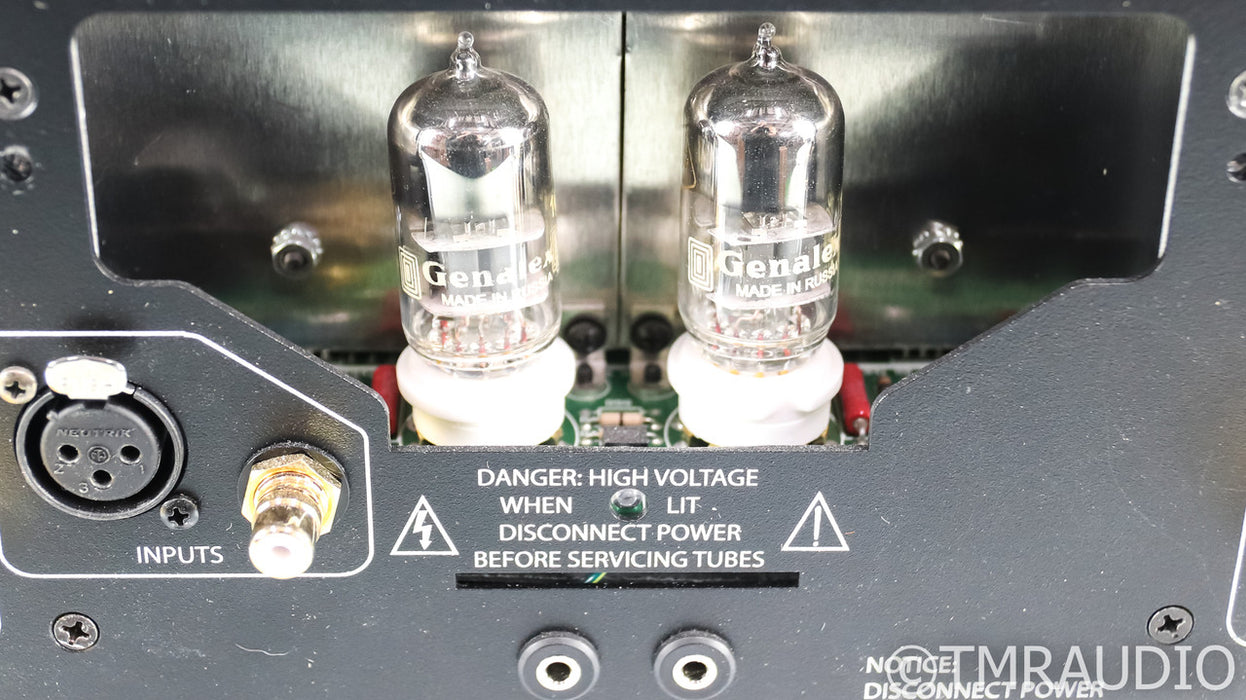 PS Audio BHK300 Mono Tube Hybrid Power Amplifier