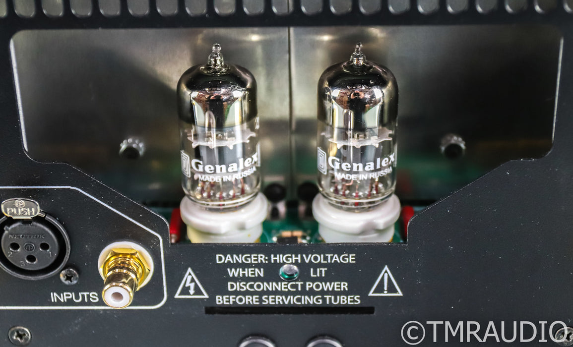 PS Audio BHK300 Mono Tube Hybrid Power Amplifier