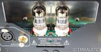 PS Audio BHK300 Mono Tube Hybrid Power Amplifier