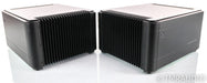 PS Audio BHK300 Mono Tube Hybrid Power Amplifier