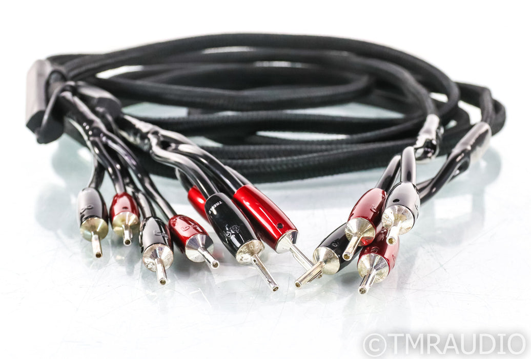 Audioquest Rocket 88 Bi-wire Speaker Cables; 10ft Pair; 72v DBS