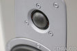 Dynaudio Contour 30 Floorstanding Speakers