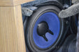 Bose 901 Series VI Speakers