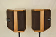 Bose 901 Series VI Speakers