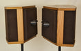 Bose 901 Series VI Speakers