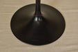 Bose 901 Series VI Speakers