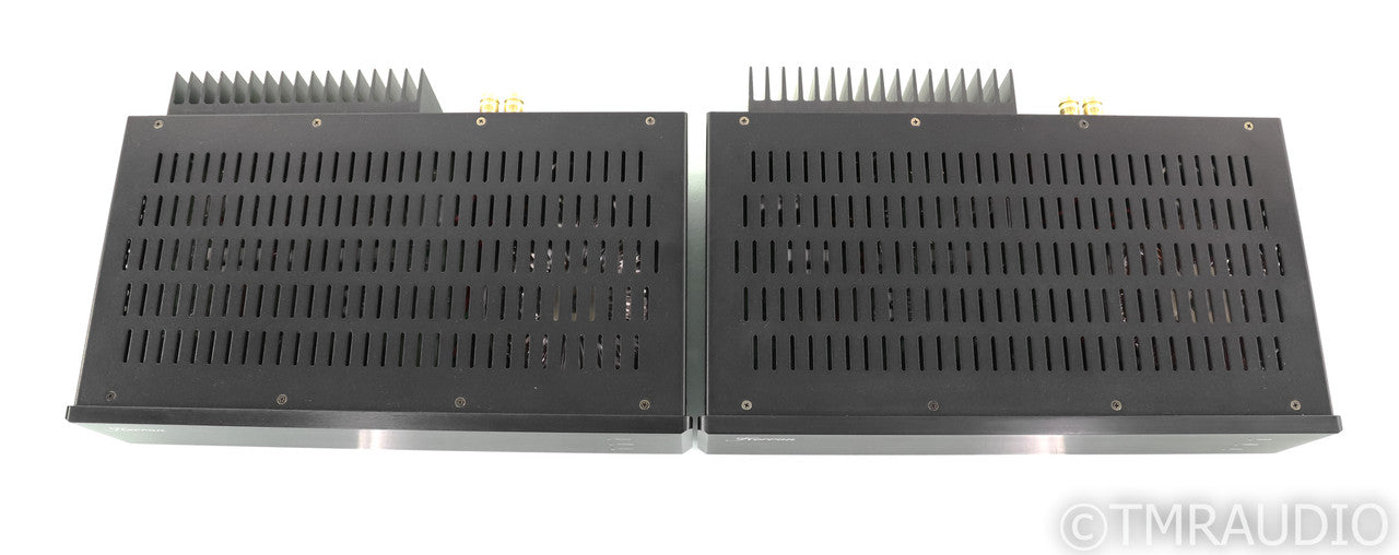 Herron Audio M1 Mono Power Amplifier
