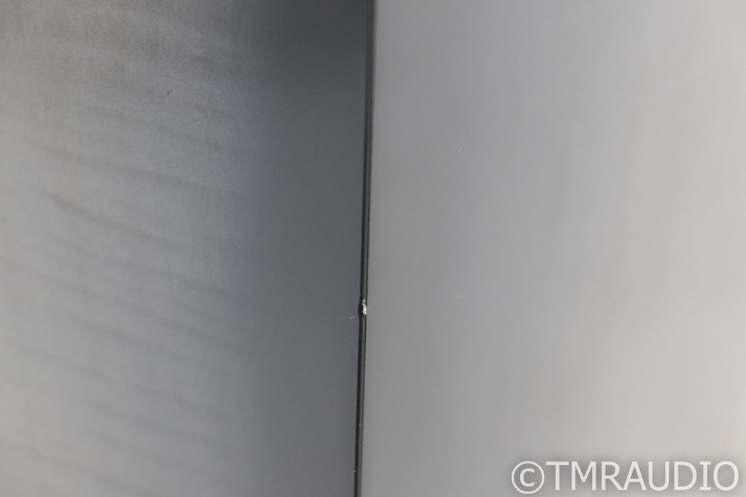 Salk Song 3 Encore Floorstanding Speakers; Pair; Curly Maple with Silver Gray Dye