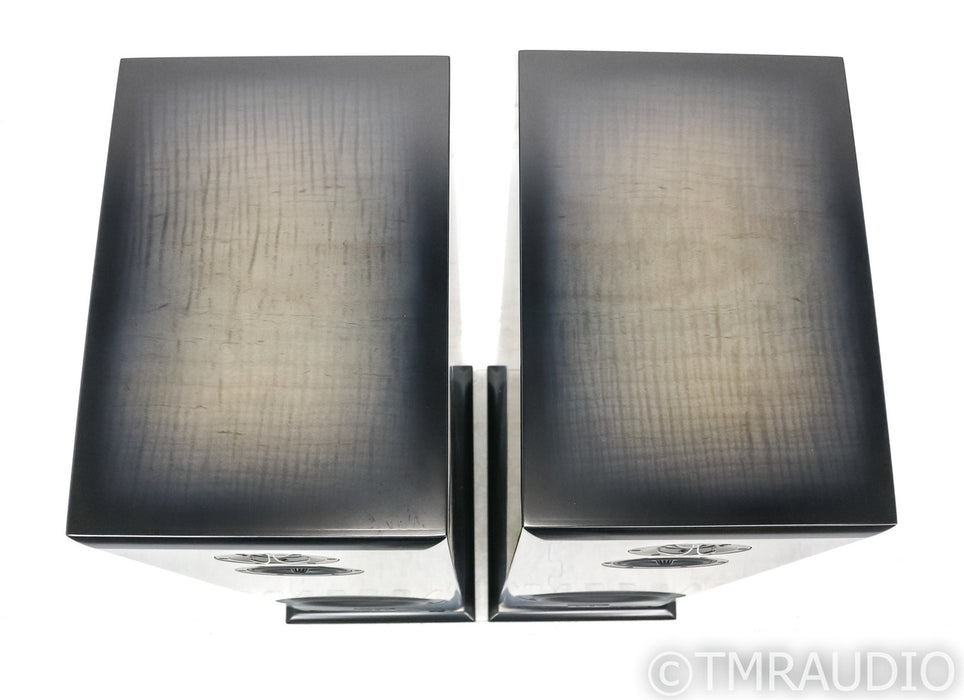Salk Song 3 Encore Floorstanding Speakers; Pair; Curly Maple with Silver Gray Dye