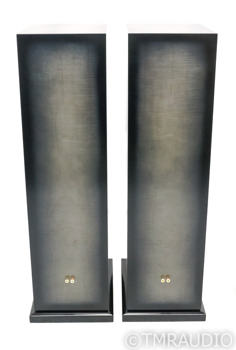 Salk Song 3 Encore Floorstanding Speakers
